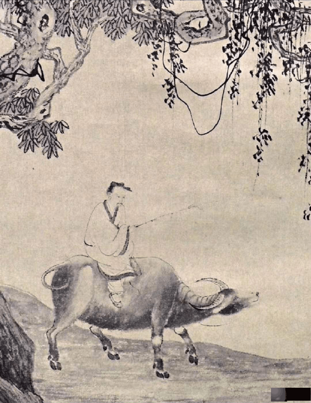 八卦之象和八卦本象