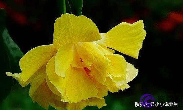 12生肖的专属幸运色，好运加持，穿对旺上一整年！