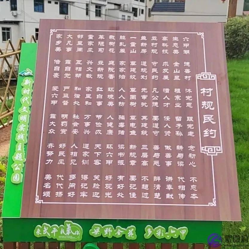 奋进新时代·献礼二十大 | 武东镇六甲村：党建引领促发展，多彩六甲当先锋