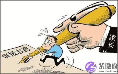 生辰解读高考报志愿与职业选择？