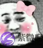 角色名甲乙丙丁，现在番剧取名这麽随便？怕是心思全用在别处了