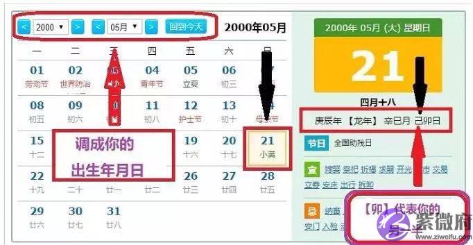 生辰命理新手教程之藏干？