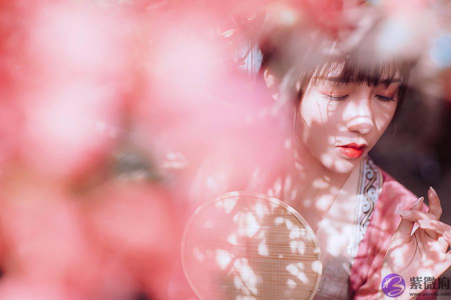 生辰神煞精论：驮宝马、衔花马