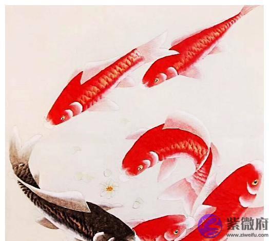 生辰生辰,看看你人生最好的底牌是什麽？