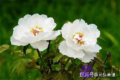 命理月柱可以看出什麽信息？月柱排列详情