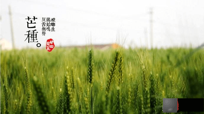 生辰:不利婚姻的几种情况