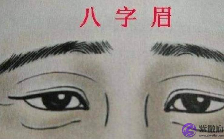 俗语说：“男怕生辰眉，女怕弯鼻眉”，是何意思？有道理吗？
