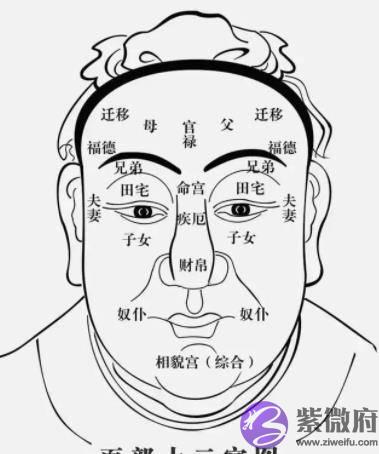 面相学“男怕生辰眉，女怕弯鼻配”老祖宗的话有道理吗？