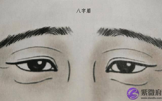 “男怕生辰眉,女怕弯鼻配”是什麽意思?老祖宗留下来的识人术