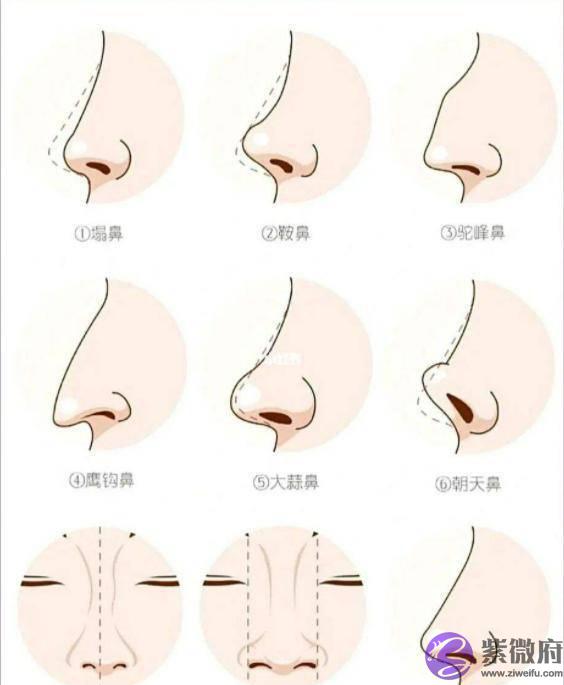 “男怕生辰眉,女怕弯鼻配”是什麽意思?老祖宗留下来的识人术