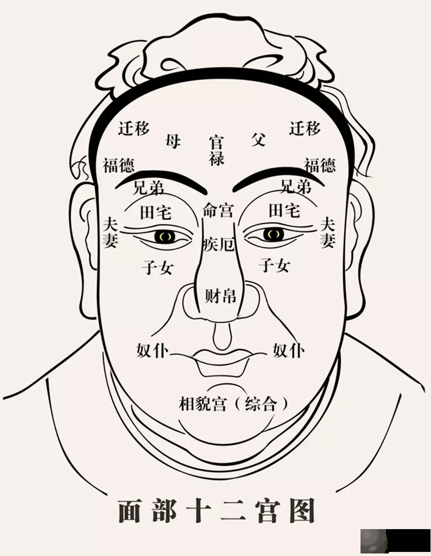 脸上有一纹，可看生死，你知道吗？
