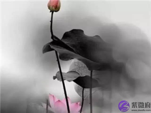 如果你四十几岁,该听听这首歌,看看这些话~