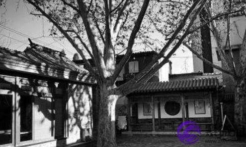 一句生辰不合,刘海粟与初恋生生被拆散,再见已是70年后