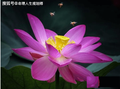 子女缘生辰看子女缘,这样的两个人在一起,子孙富贵