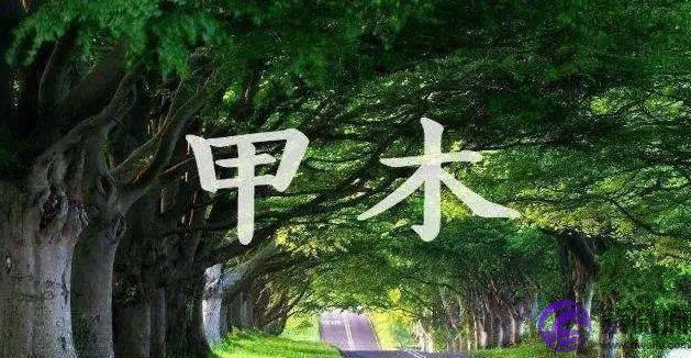 生辰日元五行断性情法,来看看吧