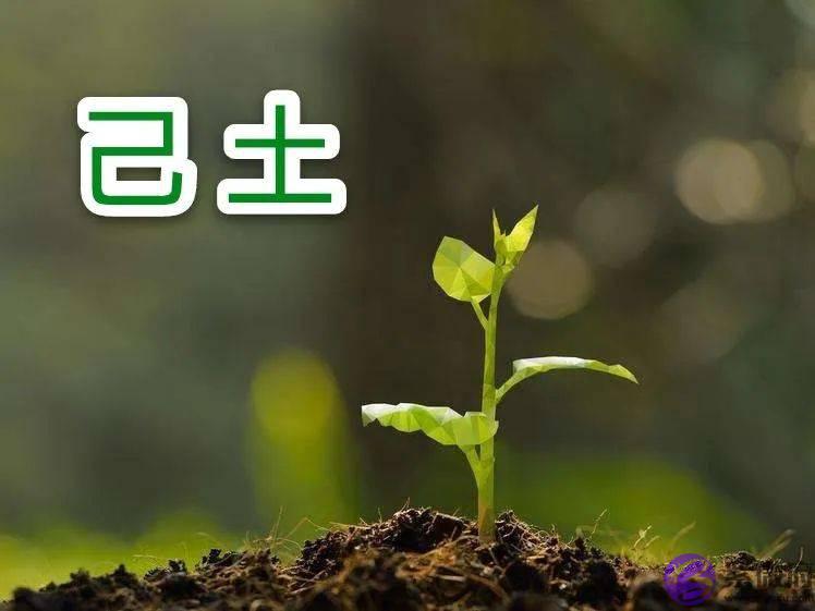 生辰日元五行断性情法,来看看吧
