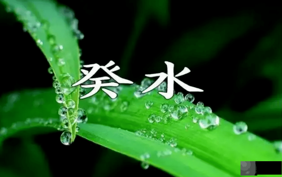 生辰日元五行断性情法,来看看吧