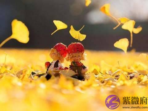 生辰婚姻分析,即将结婚有喜,且行好运二十年的人