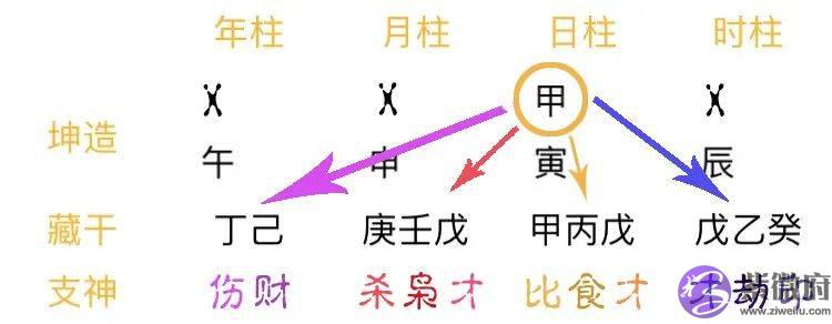 总复习:快速看穿生辰网络排盘器界面(上)