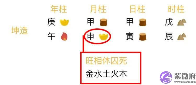 总复习:快速看穿生辰网络排盘器界面(上)