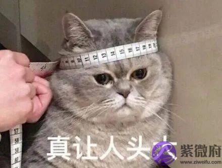 总复习:快速看穿生辰网络排盘器界面(上)