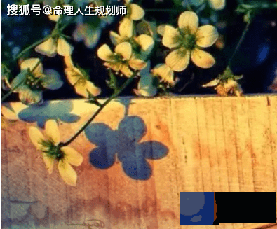 婚姻生辰看婚姻，婚姻幸福的女性都有什麽特点？