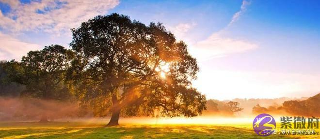 男孩起名大全-男孩取名免费-起名生辰大全-男孩取名禁忌