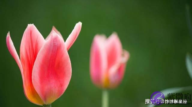 测算不知道时辰还准吗,不知道出生时辰怎麽测算