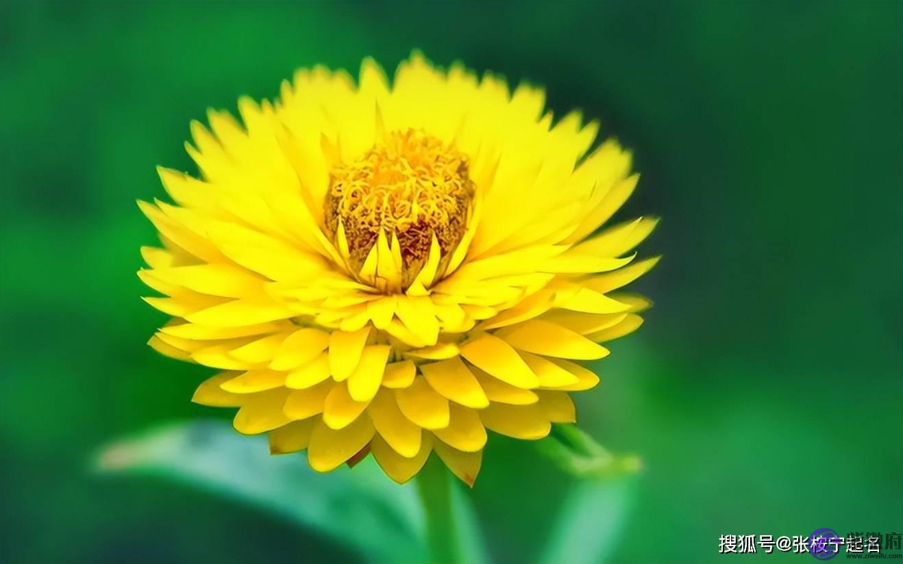 2022年婴儿女宝宝起名字大全