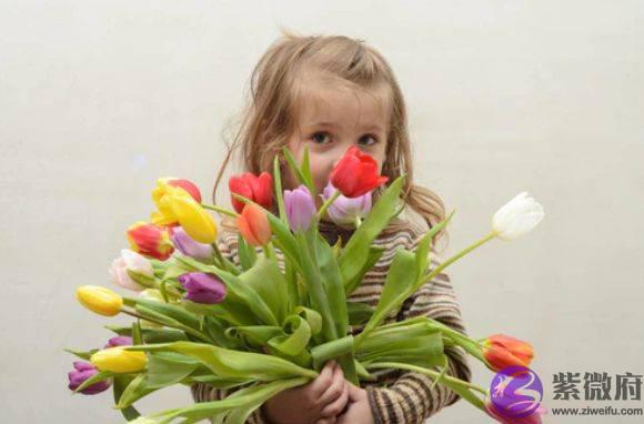 2022年虎宝宝生辰起名测名：文艺又唯美的女孩名字