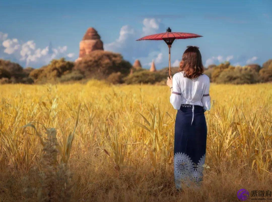 什麽生辰的人特别精明会算计