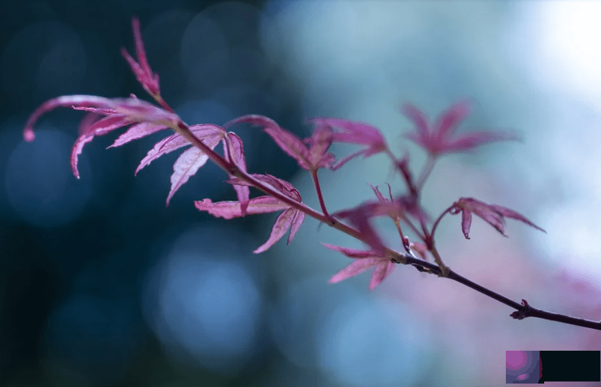 您的生辰有没有空亡，它会影响着什麽？金洋
