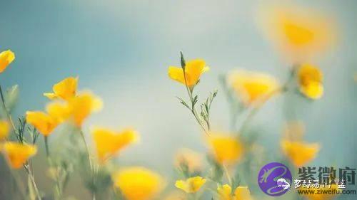 生辰小知识：早婚还是晚婚，一个特征就能明了