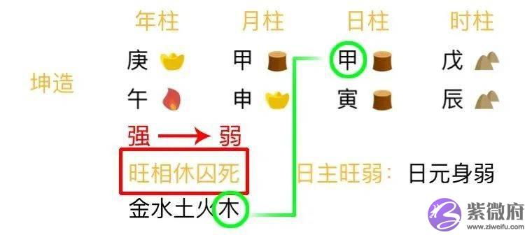 总复习：快速看穿生辰网络排盘器界面（下）