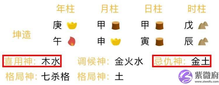 总复习：快速看穿生辰网络排盘器界面（下）