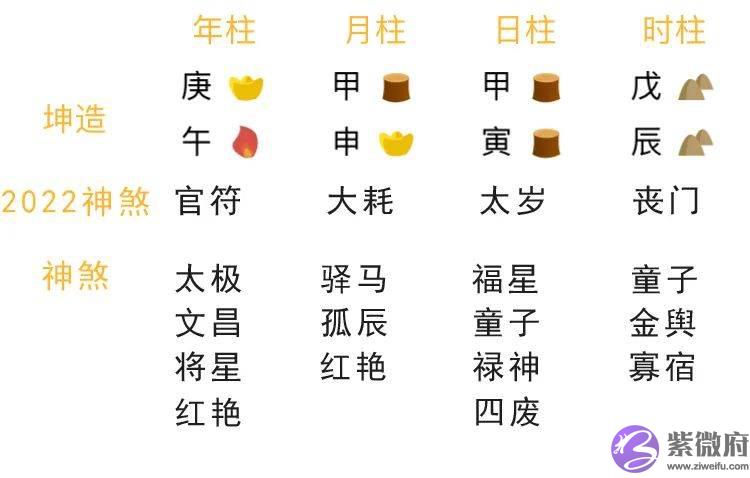 总复习：快速看穿生辰网络排盘器界面（下）