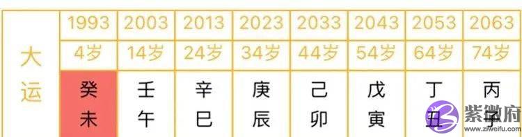 总复习：快速看穿生辰网络排盘器界面（下）