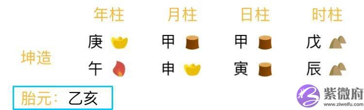 总复习：快速看穿生辰网络排盘器界面（下）