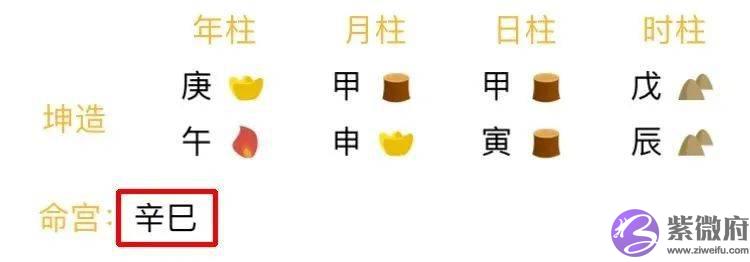 总复习：快速看穿生辰网络排盘器界面（下）