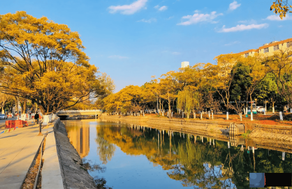 谢咏小孩生辰取名简介(第三篇), 来之不易的掌上明珠