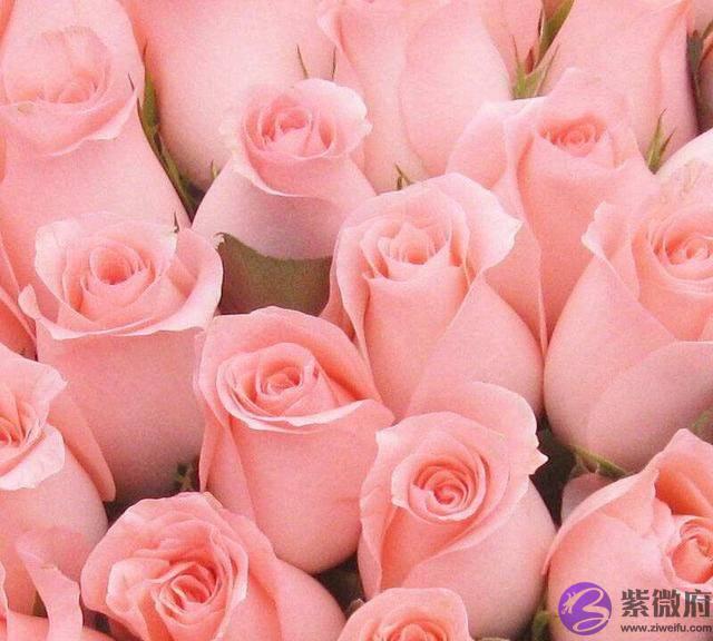 4生肖生辰缺“土”，2022年得到弥补，财运一直飘红