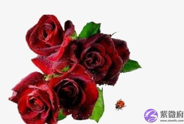 4生肖生辰缺“土”，2022年得到弥补，财运一直飘红