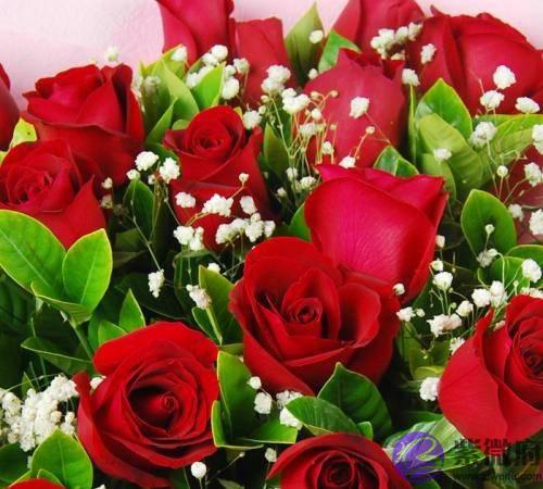 4生肖生辰缺“土”，2022年得到弥补，财运一直飘红