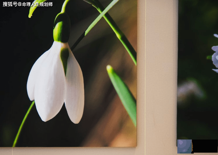 婚姻生辰看婚姻，来感情纠结，选择越多越烦恼的命