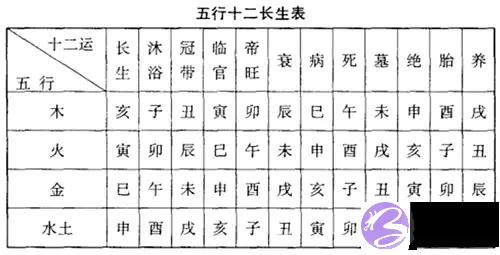 生辰中年柱的意义，与日元相生相合的吉凶，病在年柱有什麽影响？