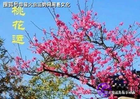 性功能强的日柱：生辰日柱是官杀有欲望