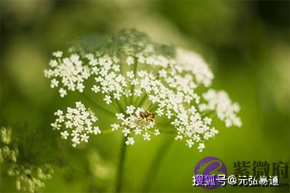 生辰日柱包含了哪些命运信息？日柱特性解析