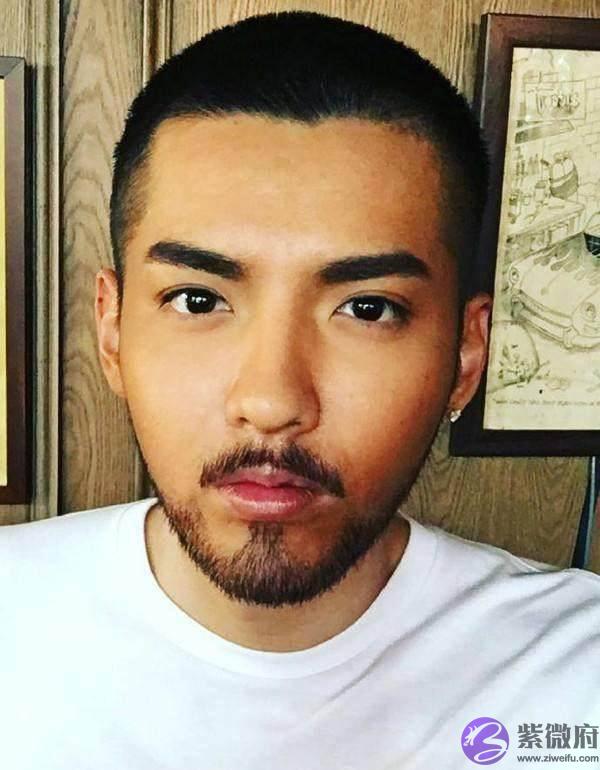 汪涵从小鲜肉变智慧男神，张震成魅力大叔，生辰胡有多大魅力？