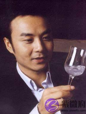 汪涵从小鲜肉变智慧男神，张震成魅力大叔，生辰胡有多大魅力？