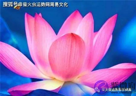 生辰荷花命是怎麽样【生辰命理】
